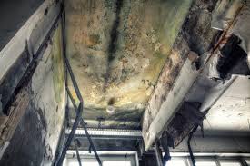 Best Asbestos and Lead Testing During Mold Inspection  in Montrose Ghent, OH